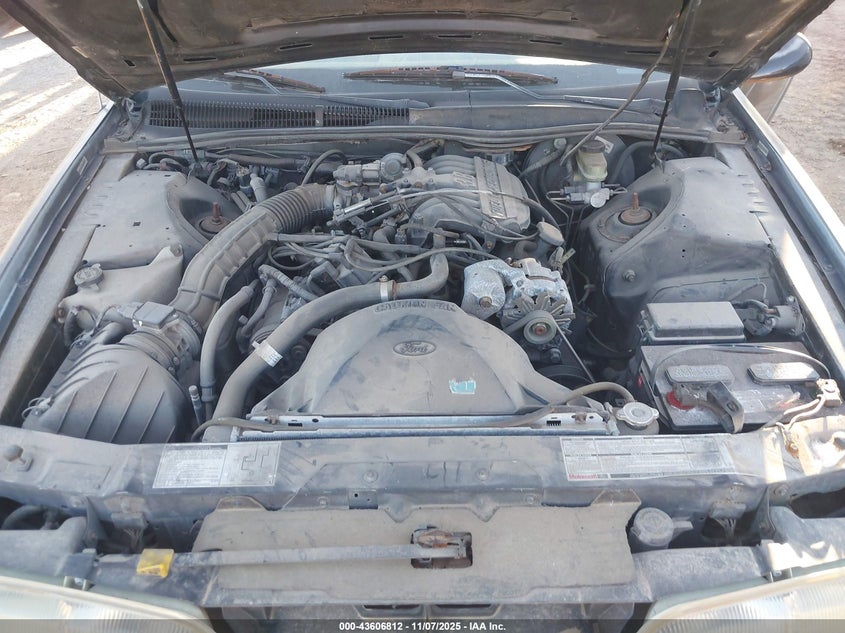 1993 Ford Thunderbird Lx VIN: 1FAPP6241PH223095 Lot: 43606812