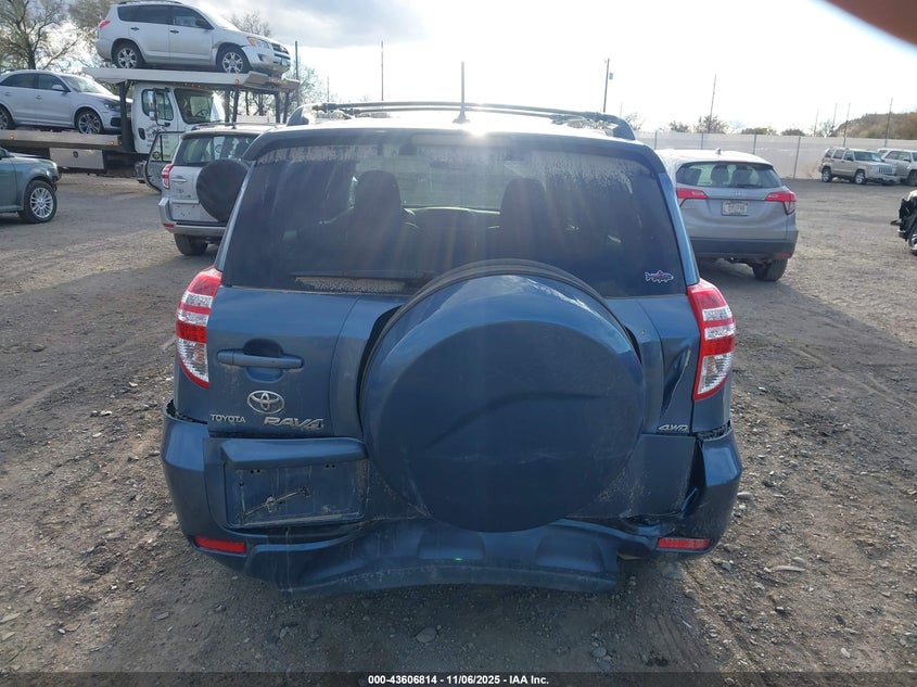 2009 Toyota Rav4 VIN: JTMBF33V995007593 Lot: 43606814