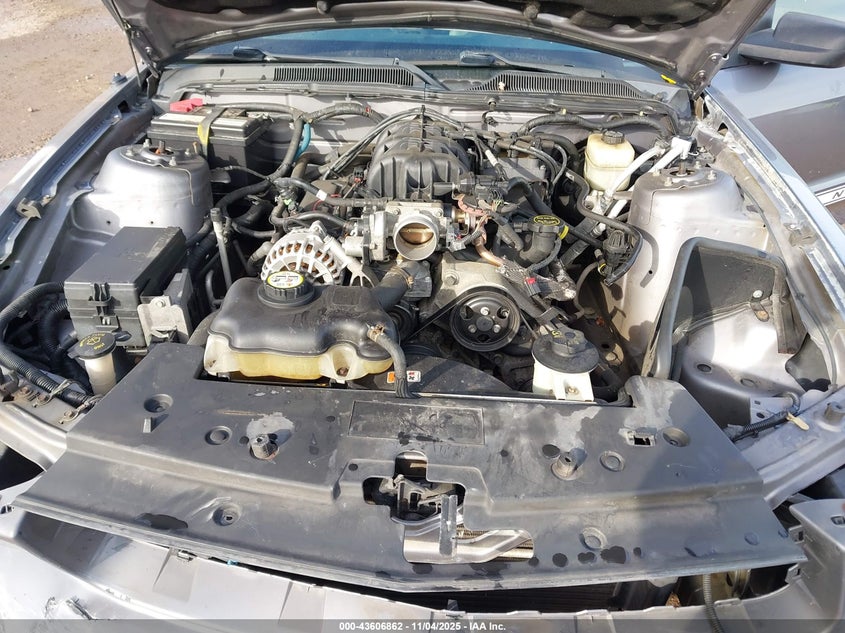 2007 Ford Mustang V6 Deluxe/V6 Premium VIN: 1ZVFT80N575224709 Lot: 43606862