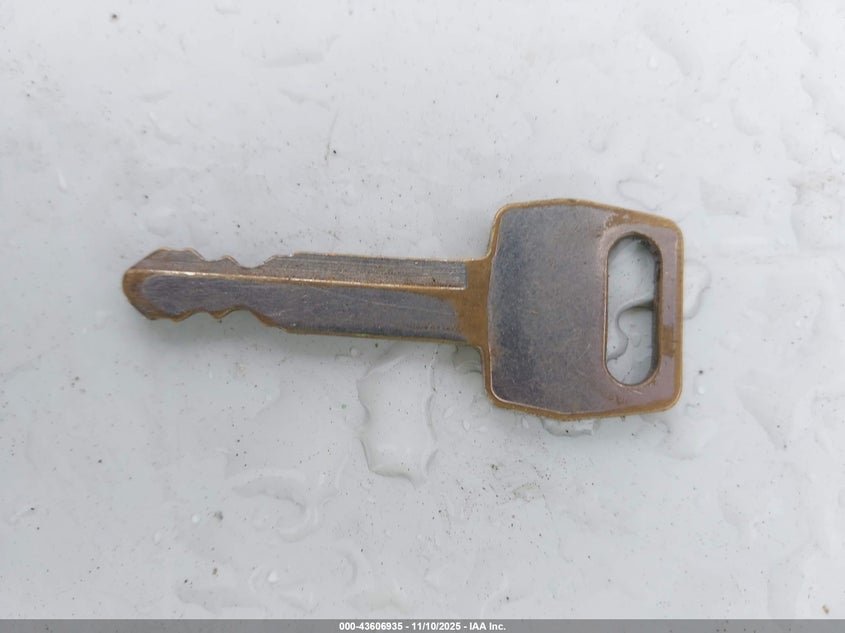 1991 Ford Mustang Lx VIN: 1FACP44E9MF130454 Lot: 43606935