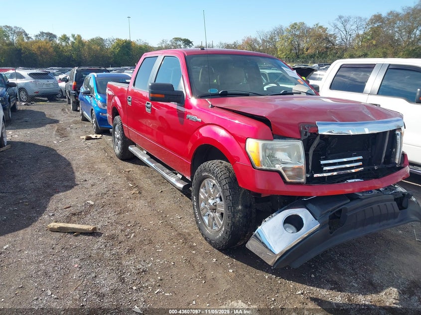 FORD F-150 XL/XLT