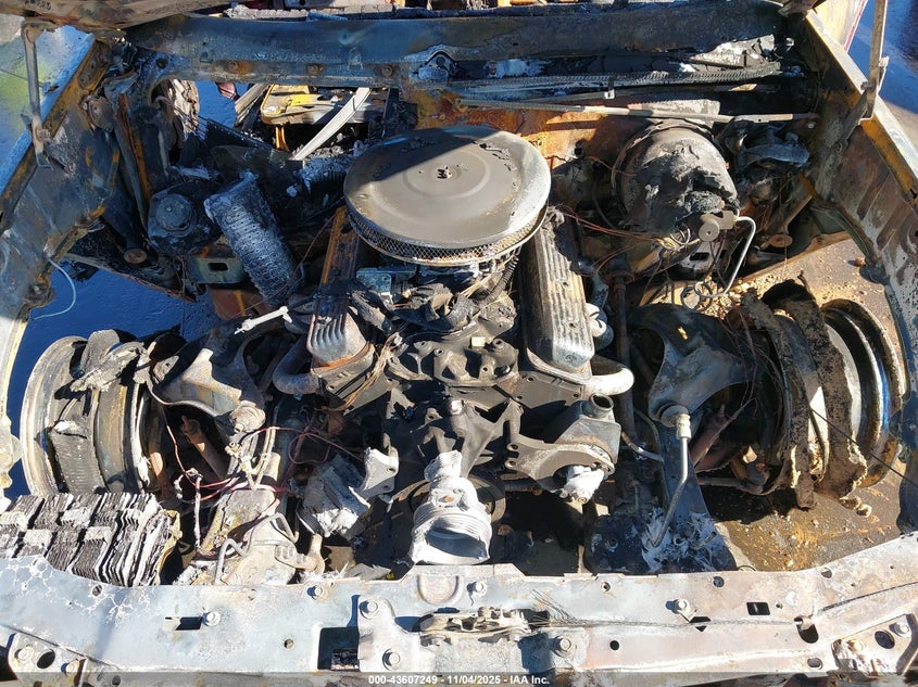 1985 Chevrolet El Camino VIN: 3GCCW80Z3FS916066 Lot: 43607249