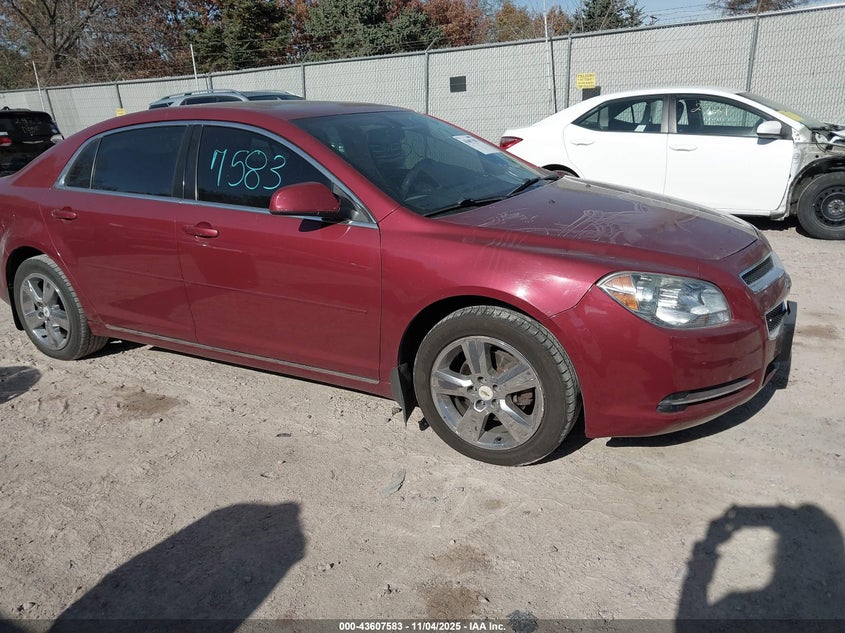 CHEVROLET MALIBU 1LT