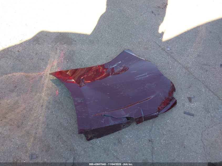 2014 TOYOTA AVALON XLE - 4T1BK1EBXEU116045