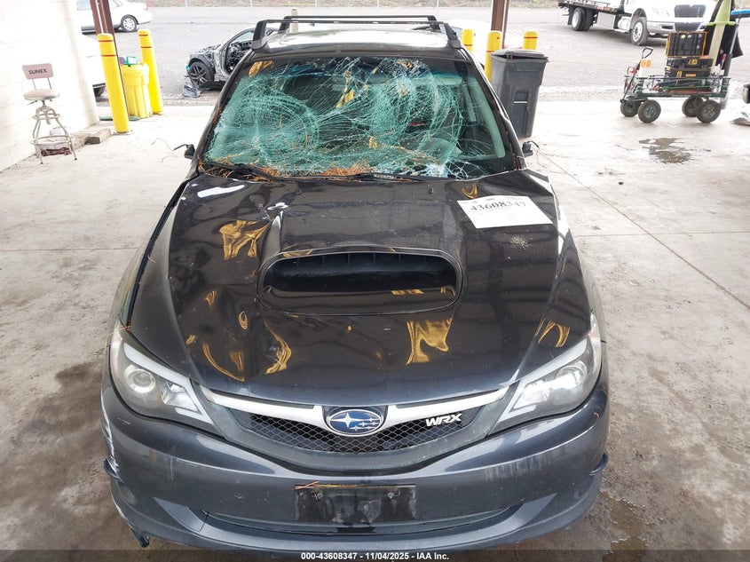 2009 Subaru Impreza Wrx VIN: JF1GE76679G503183 Lot: 43608347