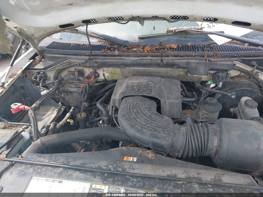 2002 Ford F-150 Lariat/Xl/Xlt VIN: 2FTRX08LX2CA82381 Lot: 43608420