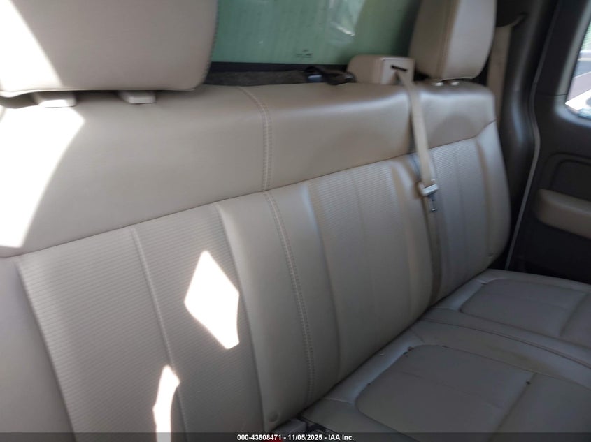 1FTEX1EW5AFD30929 2010 FORD F-150 photo no. 8