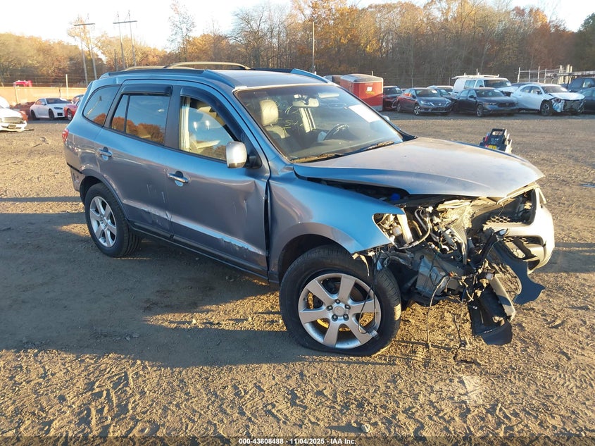 2009 Hyundai Santa Fe Limited VIN: 5NMSH73EX9H316035 Lot: 43608488