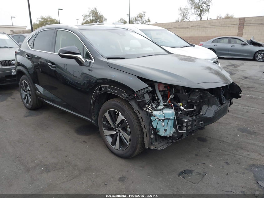 2021 LEXUS NX 300H - JTJGJRDZ1M2164552