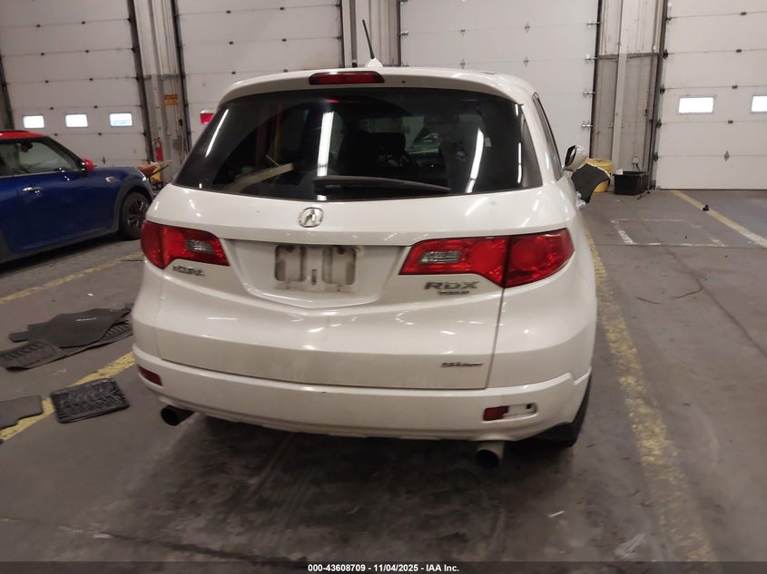 2009 Acura Rdx VIN: 5J8TB18569A802199 Lot: 43608709