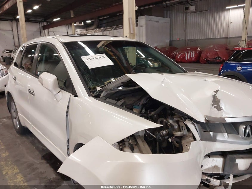 2009 Acura Rdx VIN: 5J8TB18569A802199 Lot: 43608709