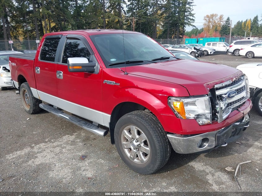 1FTFW1EF0DKD40402 2013 Ford F-150 Xlt auction photo 1