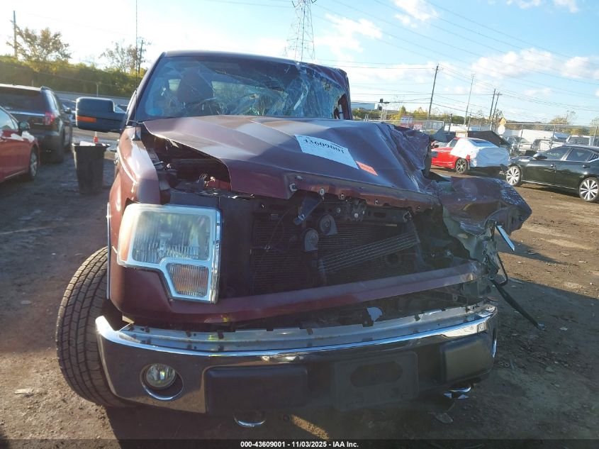 2009 Ford F-150 Fx4/Lariat/Xl/Xlt VIN: 1FTPX14V79FA56419 Lot: 43609001