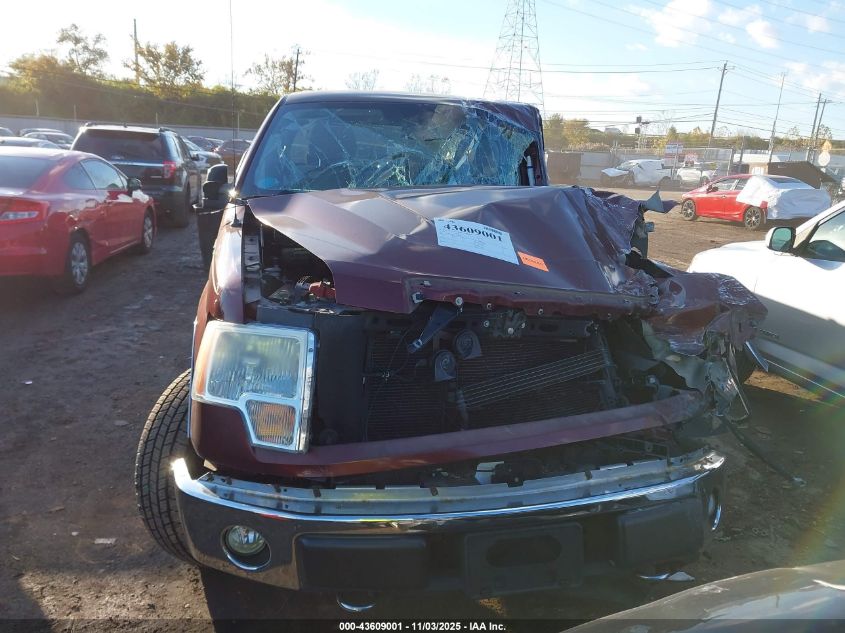 2009 Ford F-150 Fx4/Lariat/Xl/Xlt VIN: 1FTPX14V79FA56419 Lot: 43609001