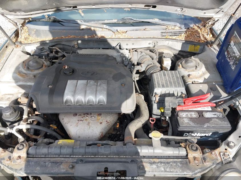 2002 Hyundai Sonata VIN: KMHWF25S62A639376 Lot: 43609574