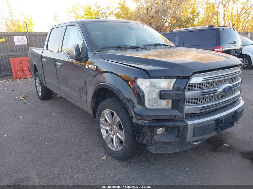 FORD F-150 PLATINUM