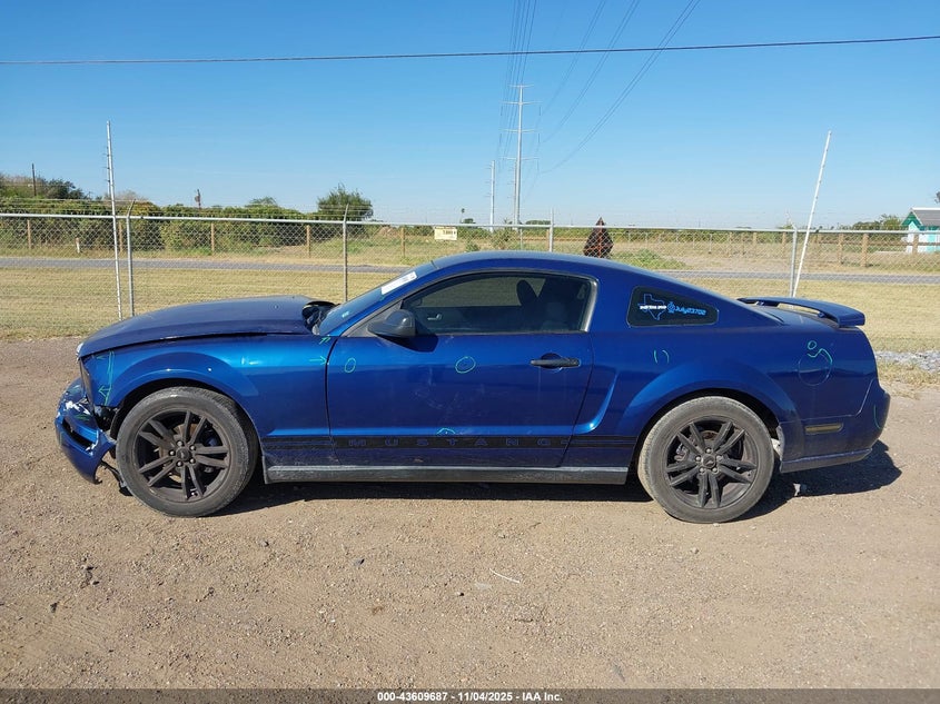 2006 Ford Mustang V6 VIN: 1ZVFT80NX65114141 Lot: 43609687