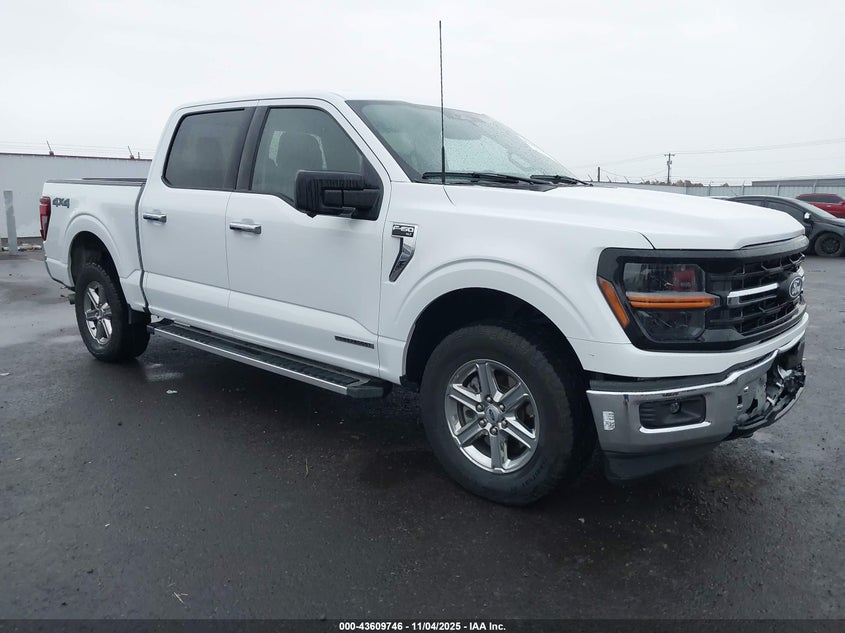 2024 FORD F-150 XLT - 1FTFW3LD6RFA56656