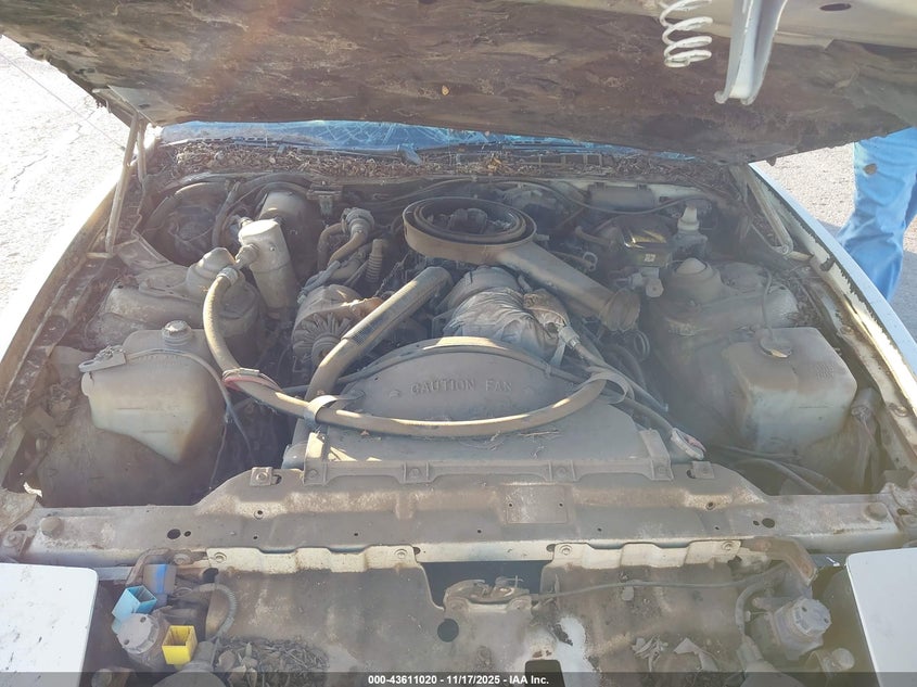 1984 Pontiac Firebird VIN: 1G2AS8719EL262458 Lot: 43611020