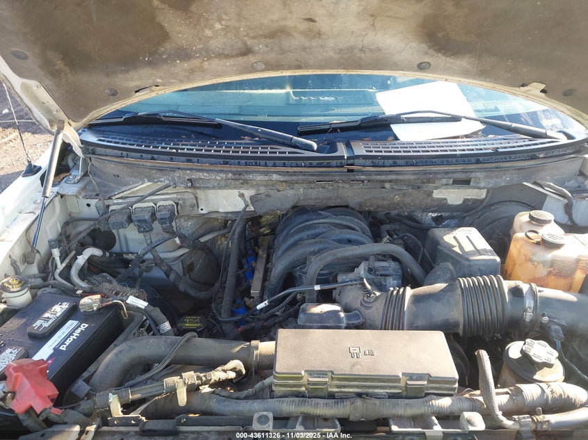 2009 Ford F-150 Stx/Xl/Xlt VIN: 1FTRX14869KC64107 Lot: 43611326