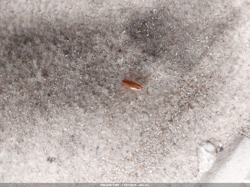 2003 Cadillac Escalade Standard VIN: 1GYEK63N83R284286 Lot: 43611390