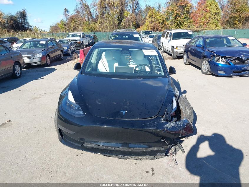 2023 Tesla Model 3 Long Range Dual Motor All-Wheel Drive VIN: 5YJ3E1EB1PF599646 Lot: 43611816