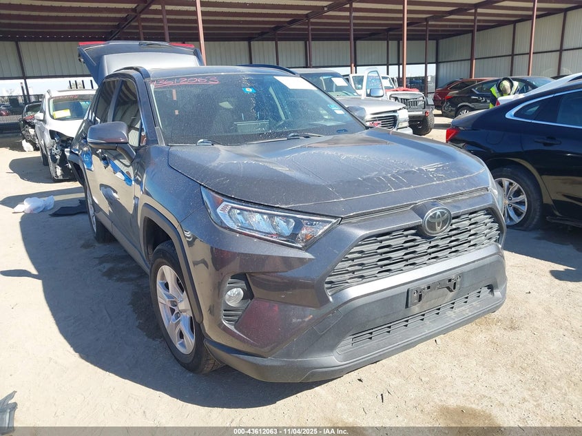 2019 TOYOTA RAV4 XLE - JTMW1RFV2KD023533