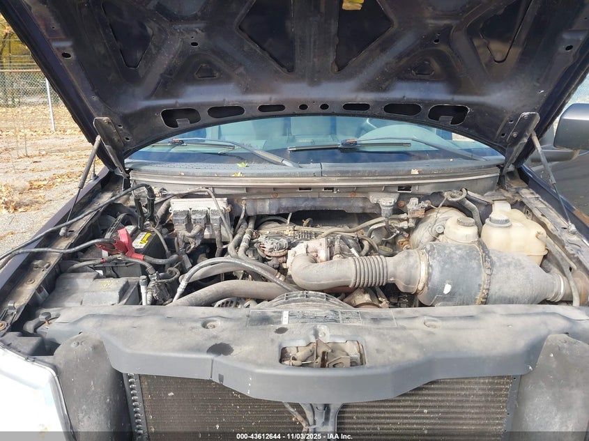 1FTRF12286NB73142 2006 FORD F-150 photo no. 10