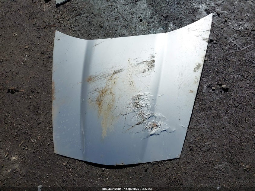 2005 Chevrolet Corvette VIN: 1G1YY24U955105580 Lot: 43612681