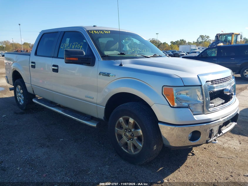 FORD F-150 XLT