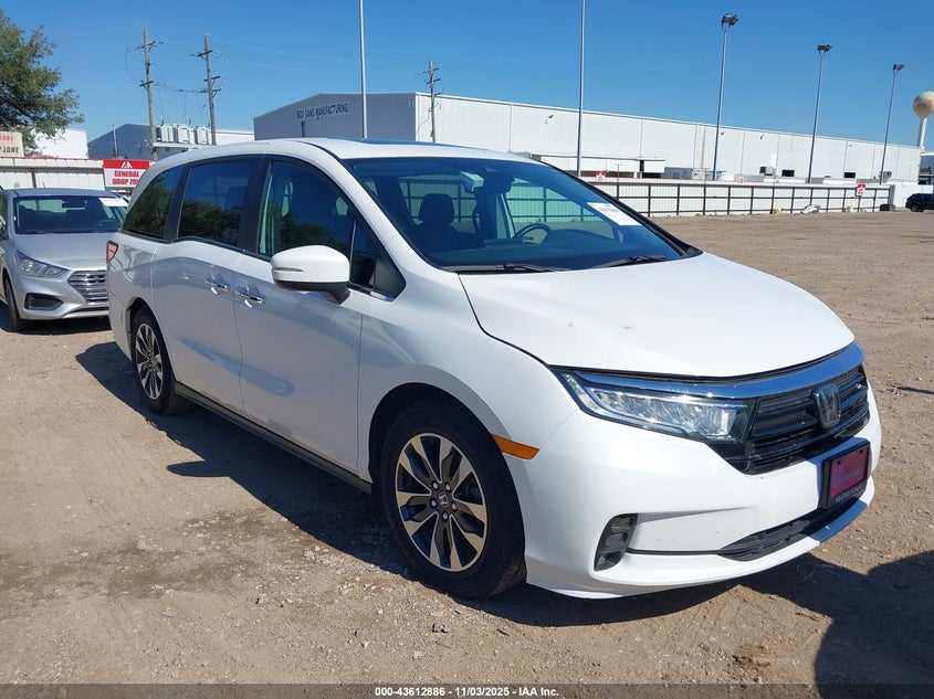 2024 HONDA ODYSSEY EX-L - 5FNRL6H61RB048292