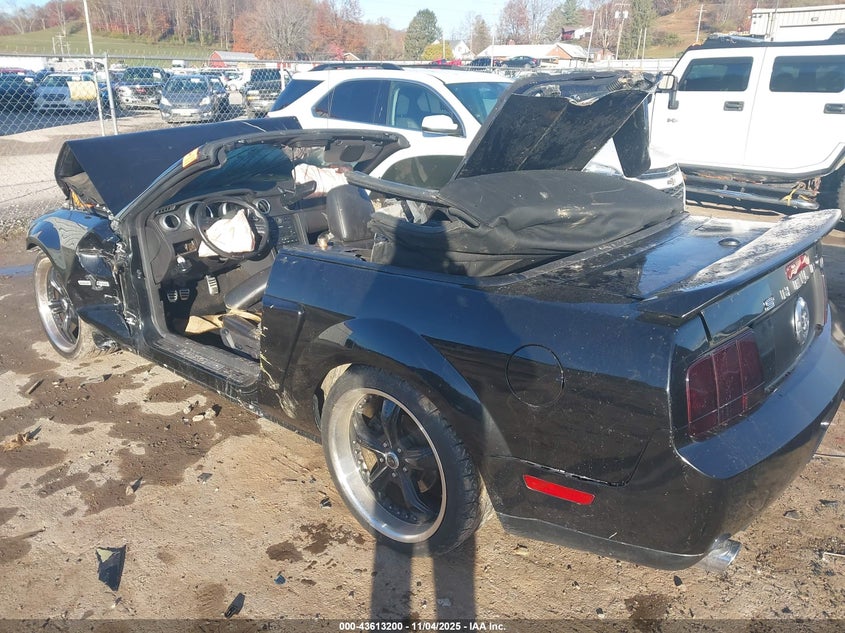 1ZVHT89S075303142 2007 FORD MUSTANG photo no. 3
