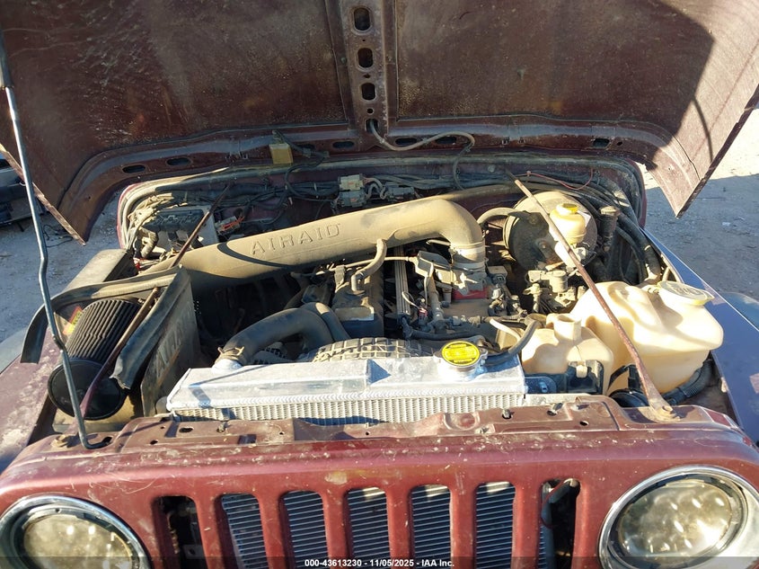 2003 Jeep Wrangler Rubicon VIN: 1J4FA69S23P320053 Lot: 43613230