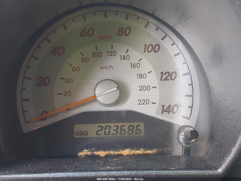 2009 Scion Tc VIN: JTKDE167790287856 Lot: 43613564