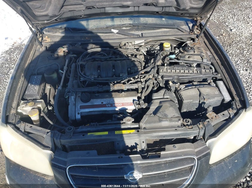 2000 Nissan Maxima Gle/Gxe/Se VIN: JN1CA31D0YT767499 Lot: 43613644