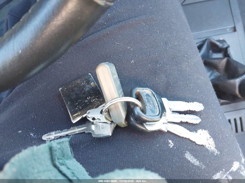 1991 Mercury Capri Xr2 VIN: 6MPTC0369M8605834 Lot: 43613656