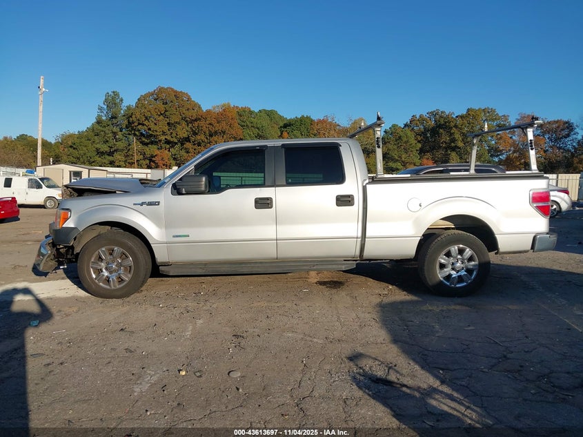2014 FORD F-150 XL 1FTFW1CT9EFB62699