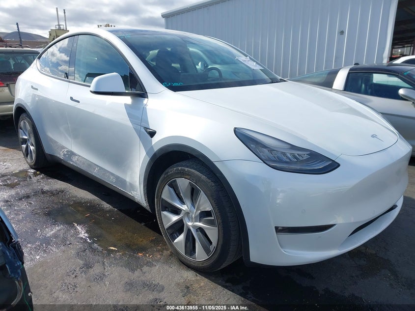 TESLA MODEL Y STANDARD RANGE REAR-WHEEL DRIVE