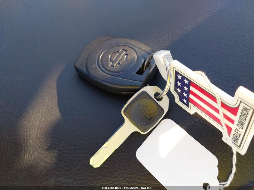 2025 Harley-Davidson Flstfi VIN: 1HD1BD912SB023013 Lot: 43614066