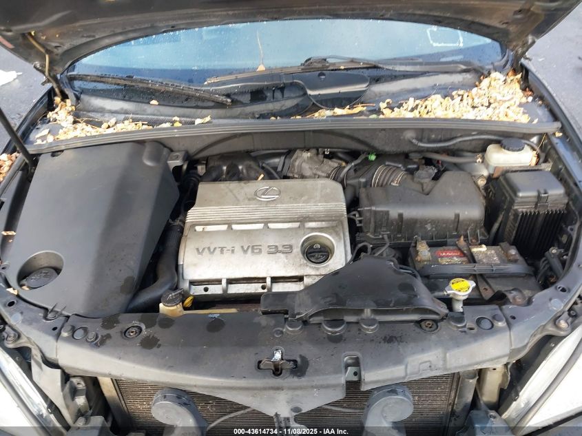 2004 Lexus Rx 330 VIN: JTJHA31U340009720 Lot: 43614734