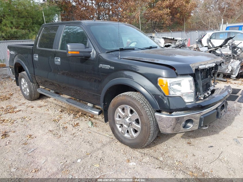 FORD F-150 XLT