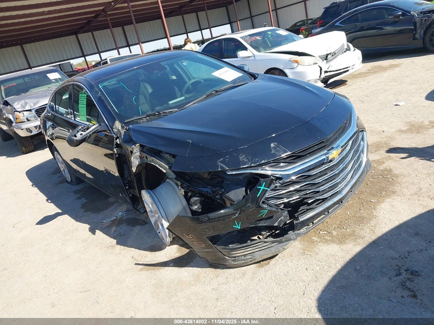 2024 CHEVROLET MALIBU FWD 1LT - 1G1ZD5ST0RF169390