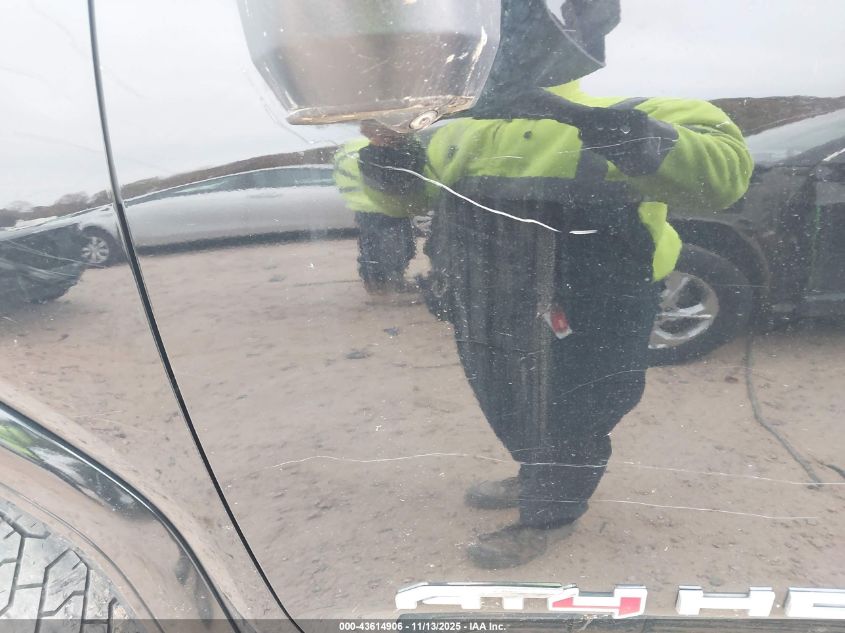 2020 GMC Sierra 2500Hd 4Wd Standard Bed At4 VIN: 1GT49PEY1LF124827 Lot: 43614906