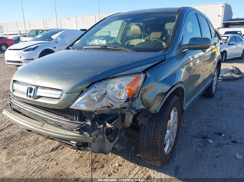 2007 Honda Cr-V Exl VIN: JHLRE48707C040009 Lot: 43614945