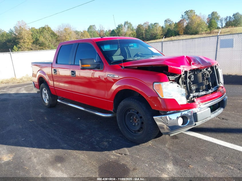 FORD F-150 XLT