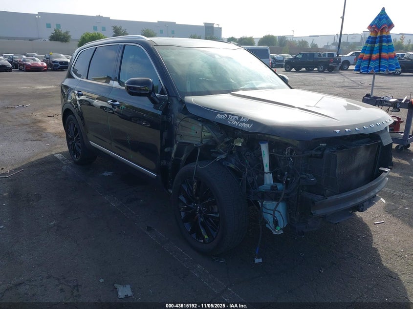 2020 Kia Telluride Sx VIN: 5XYP54HC1LG025106 Lot: 43615192
