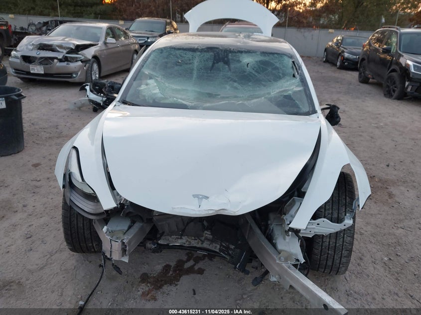 2023 Tesla Model 3 Rear-Wheel Drive VIN: 5YJ3E1EA3PF438755 Lot: 43615231