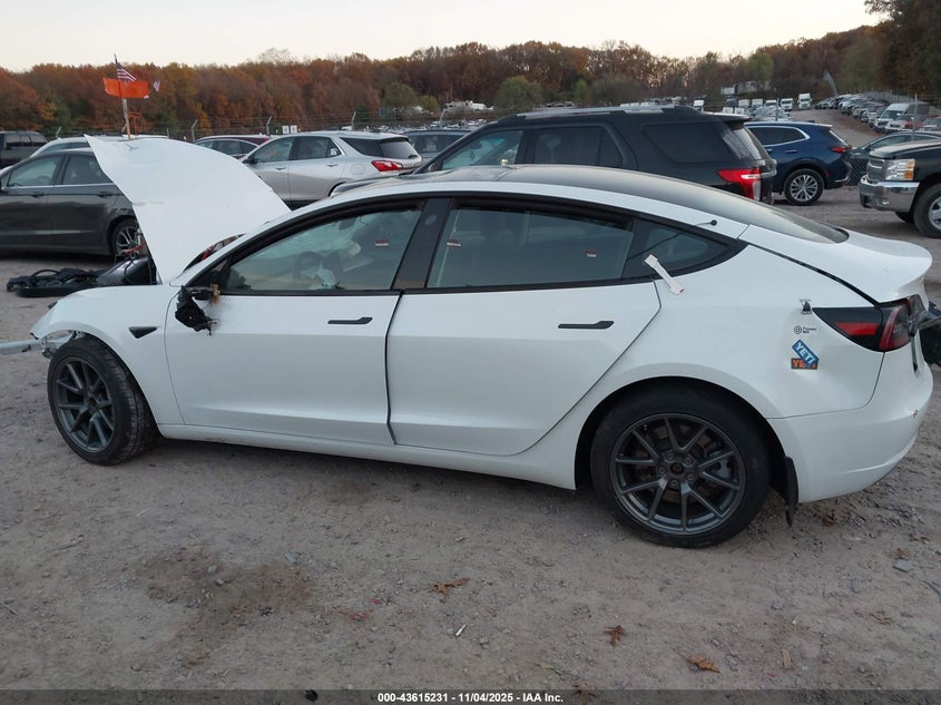 2023 Tesla Model 3 Rear-Wheel Drive VIN: 5YJ3E1EA3PF438755 Lot: 43615231