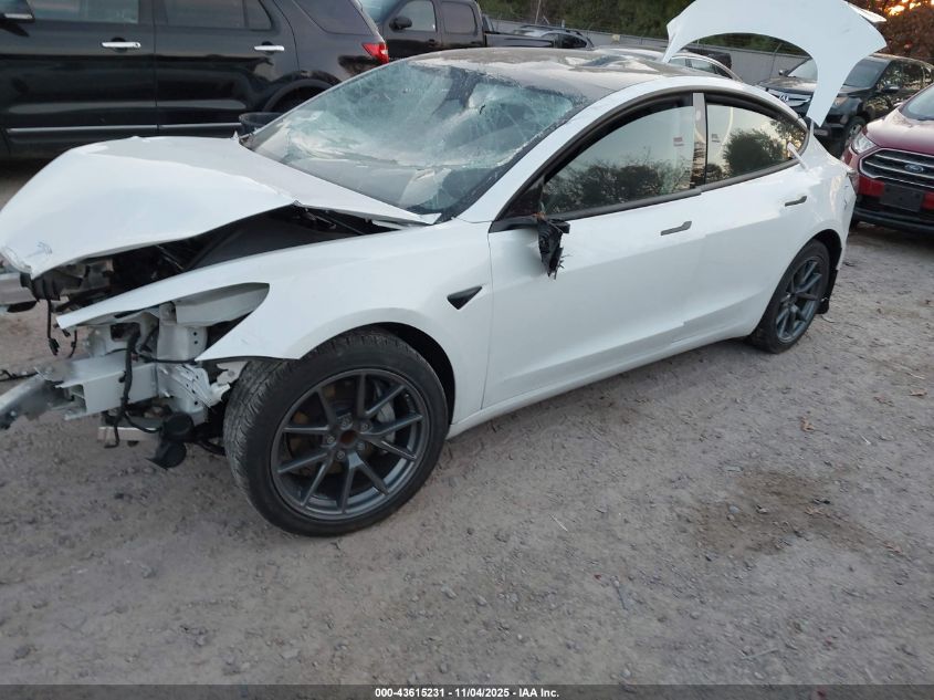 2023 TESLA MODEL 3 REAR-WHEEL DRIVE 5YJ3E1EA3PF438755
