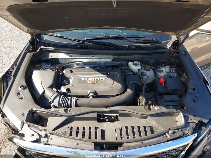 2024 Cadillac Xt4 Awd Premium Luxury VIN: 1GYFZDR41RF202136 Lot: 43615460